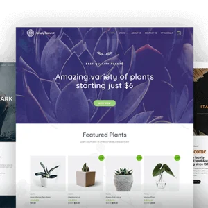 企业官网建设（标准版）