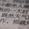 Close-up shot of Chinese text, emphasizing texture and detail with blurred background.