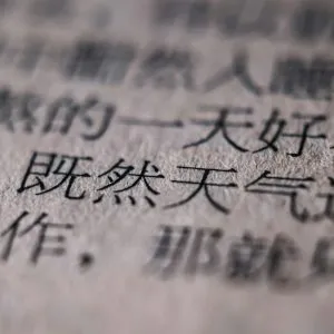 Close-up shot of Chinese text, emphasizing texture and detail with blurred background.