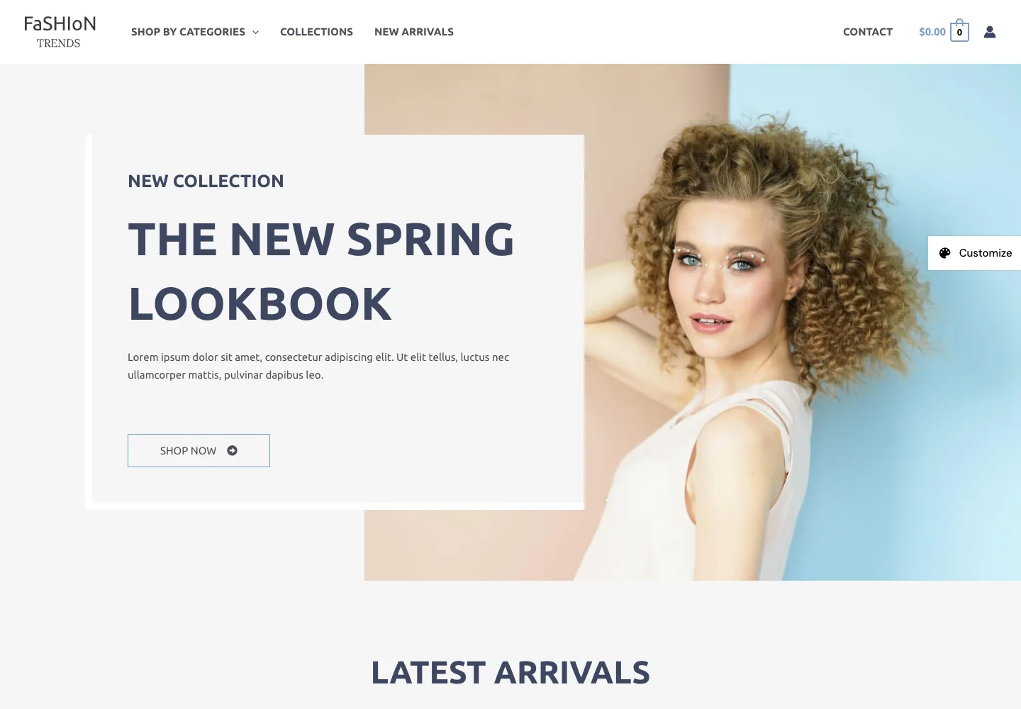 Astra Fashion and Clothing 服装网站官方演示首页截图