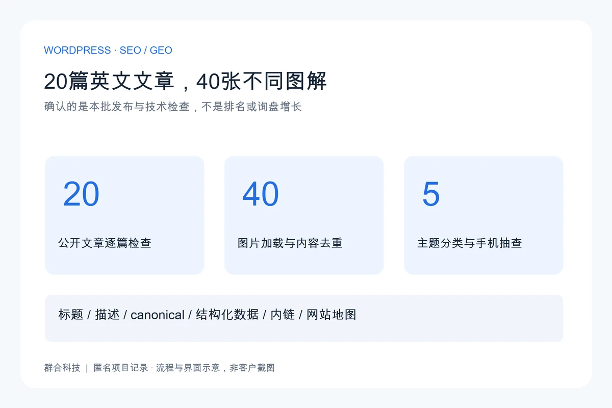 本批20篇英文文章、40张不同图解与五类主题的技术检查范围示意,不表示搜索或销售效果